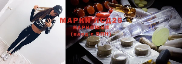 мяу мяу мука Михайловск