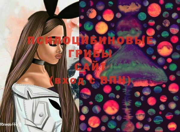 дживик Михайловка