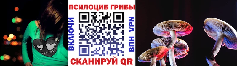 мега ТОР  Эртиль  Псилоцибиновые грибы Psilocybe 