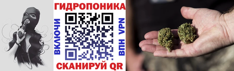 Канабис гибрид  KRAKEN ссылки  Эртиль 